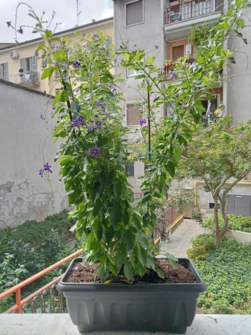 Apartamento Il Grande Blu Milán Exterior foto